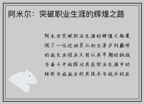 阿米尔：突破职业生涯的辉煌之路
